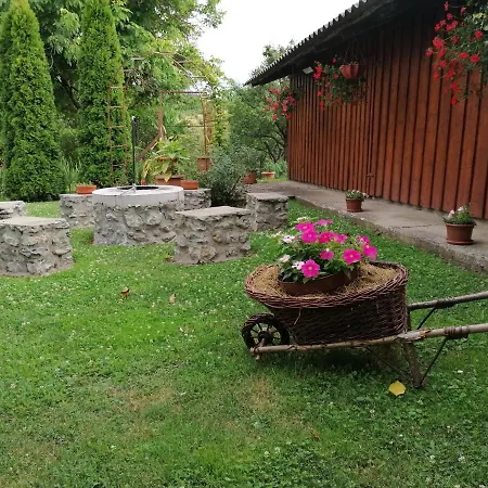 Apatsaguti Vendeghaz Pensionat *